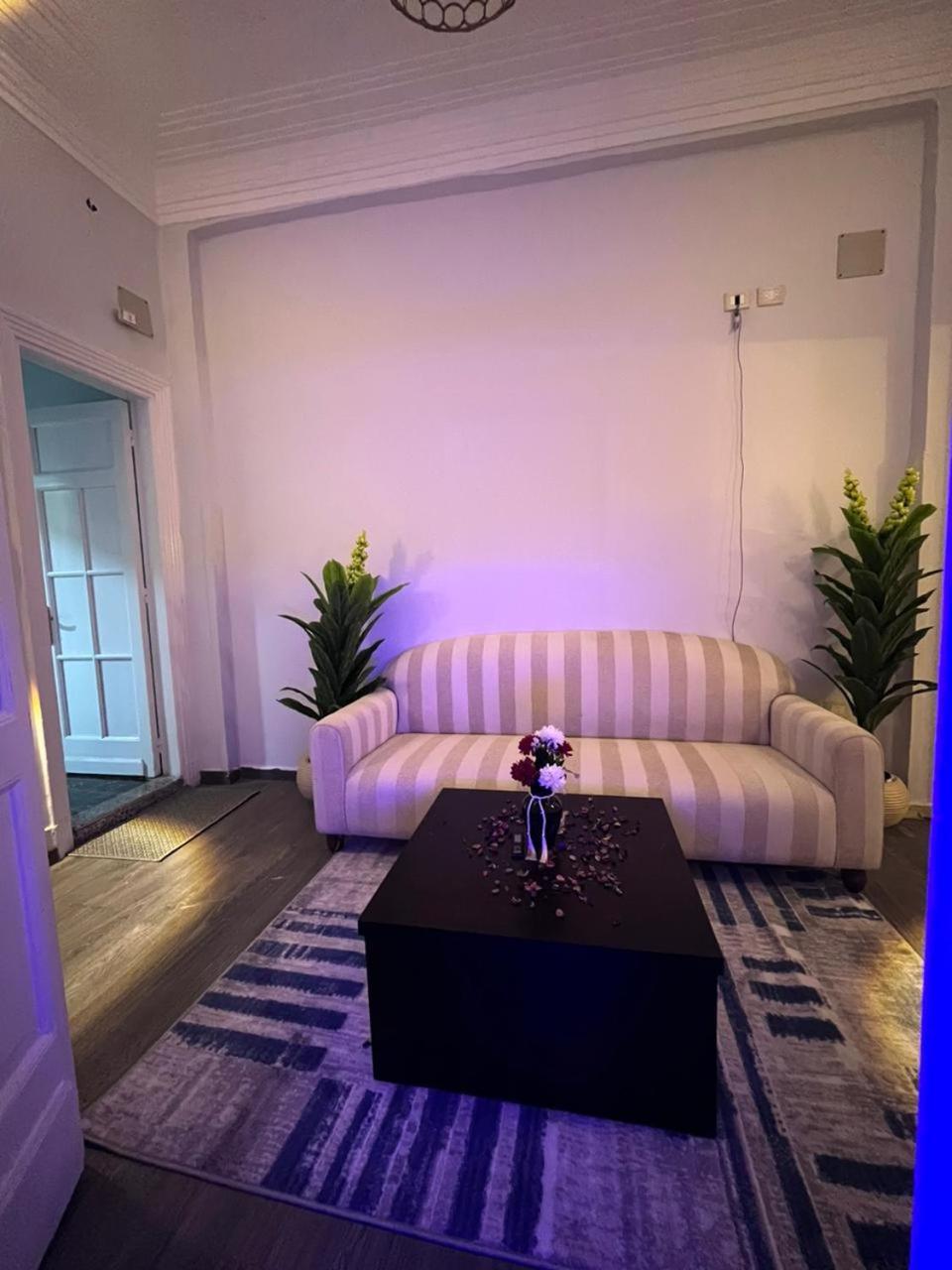 Downtown View Apartment