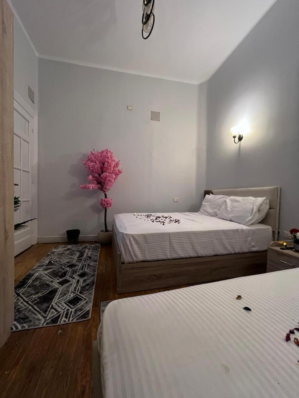 Downtown View Apartman Kairó