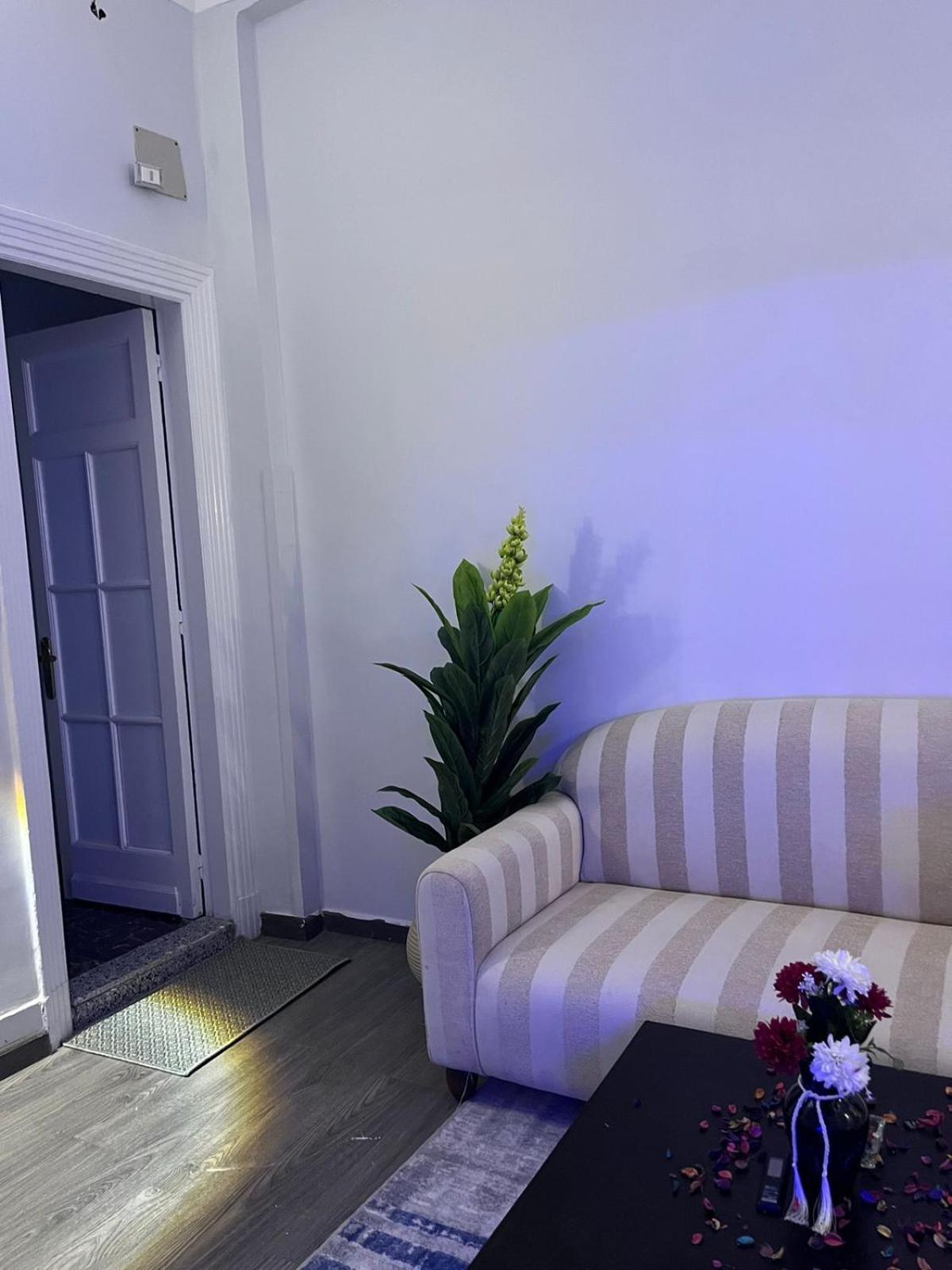 Apartman Downtown View *